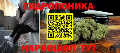 СК Севастополь