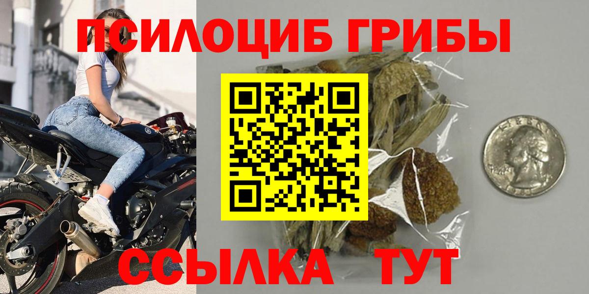 Псилоцибиновые грибы Psilocybe  Вход с VPN  Новозыбков 