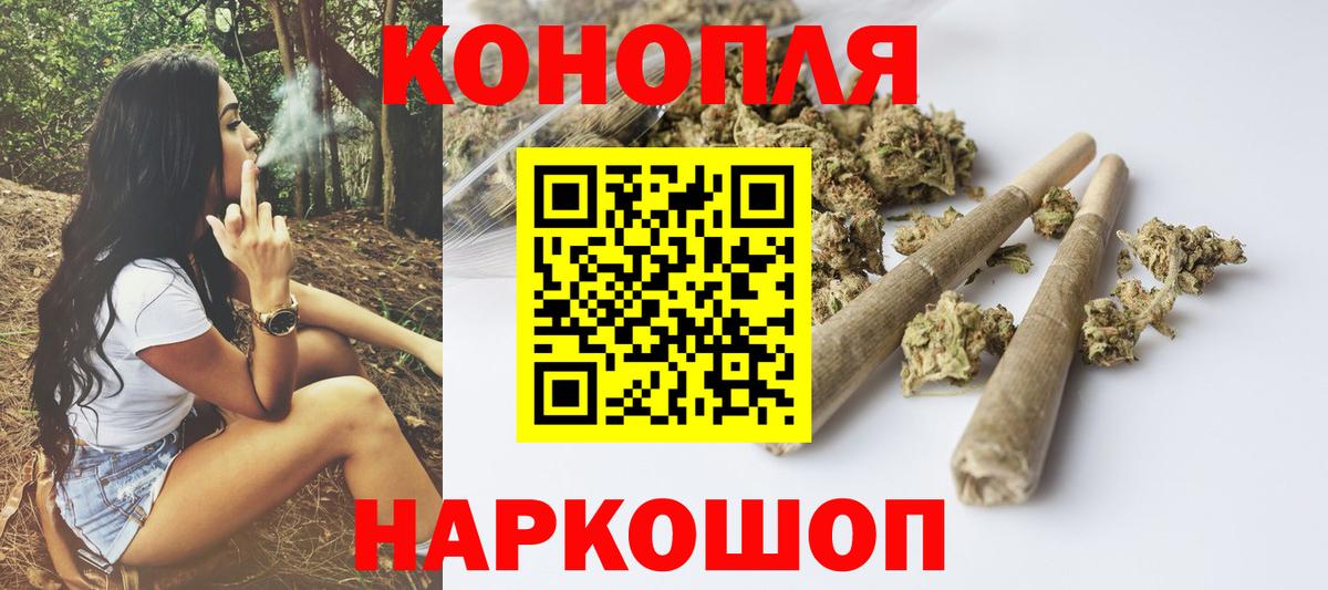 Шишки марихуана семена Новозыбков