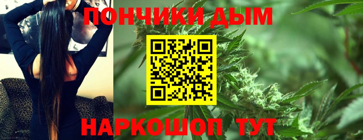 Конопля Bruce Banner  Канабис гибрид  Новозыбков  Канабис OG Kush  Вход с VPN 